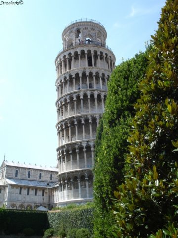 pisa.jpg